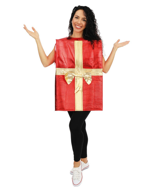 Christmas Gift Costume Adult