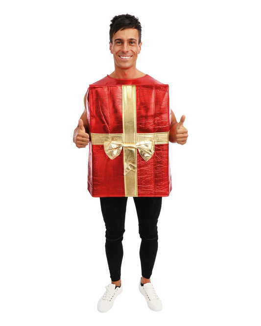 Christmas Gift Costume Adult